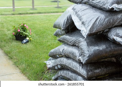 Close Up View Of Stacked Plastic Bags Of Commercial Organic Mulch From A Nursery For Garden Maintenance In Spring Standing In Rain With Potted Flowers On The Grass Behind