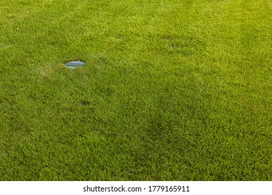 Close up view of summer grass with automatic watering. Beautiful nature background, texture. Summer concept.