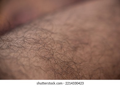 Close Up View Of Texture Of Human Skin And Hairy Leg  