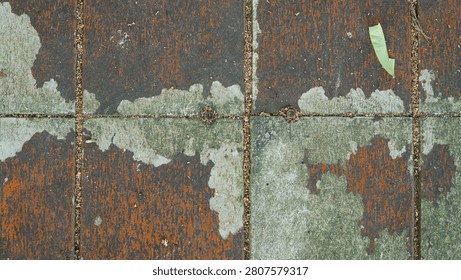 Close view of textured ground with small animal presence