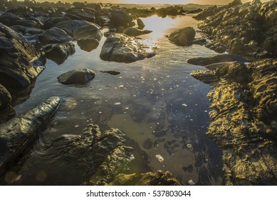 An up close view of a tidal pool as the sun sets in front.