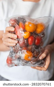 Close view of two hands presenting a sealed bag of frozen cherry tomatoes for food storage and recipe prep background.