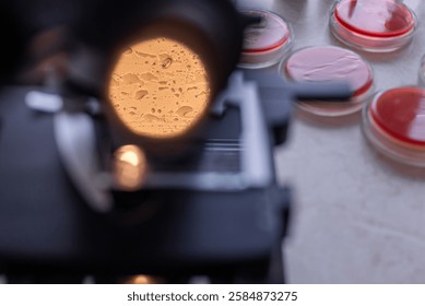 Close up view under the microscope. Close up of worm eggs and bacteria