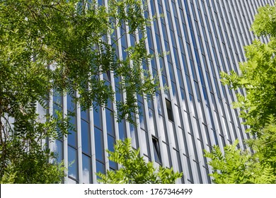 Close up view under the tree of reflected glass facade with rectangular windows grid frame system of modern office building reflected blue sky, cloud and treetop.
