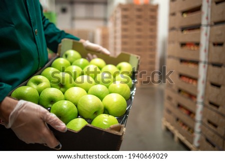 Close up view of unrecognizable worker holding crate full of green apples in organic food factory warehouse.