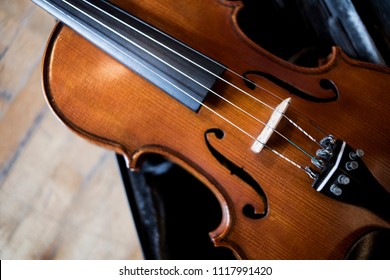 Close view of a violin strings and bridge, 