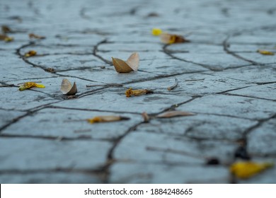 Close Up View Of Walkway Concrete Stamped Material With Dry Leave On The Floor, Selective Focus.