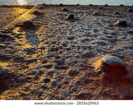 Close view of a weathered dock surface at sunset