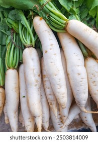 Close up view of white radish or raphanus sativus (Latin) available and sold in the market.