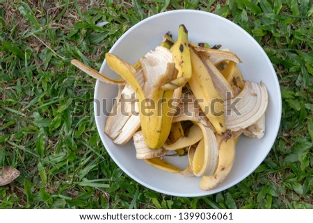 A Close up view of a white round plate with bananna peals piled into it sitting on the green grass