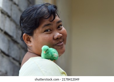 Close Up View A Woman Love Green Colored Feathers Adorable Broiler Chick On Her Shoulder