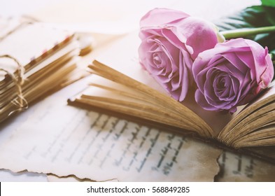 Close Up Of Violet Purple Rose Flower With Love Letters And Feather Quill, Rose And Old Paper With Vintage And Vignette Tone