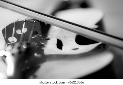 close up of a violin