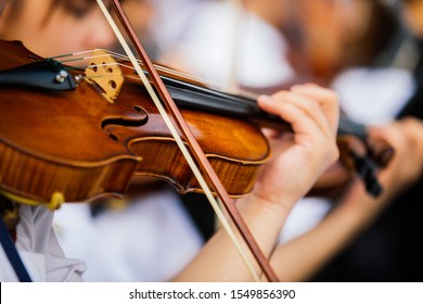 Close up violinist playing violin in orchestra concert