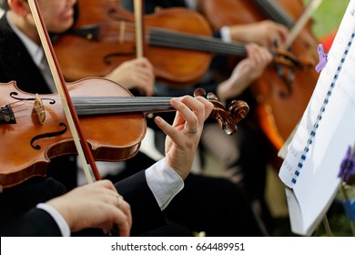Close up violinists performing during wedding ceremony