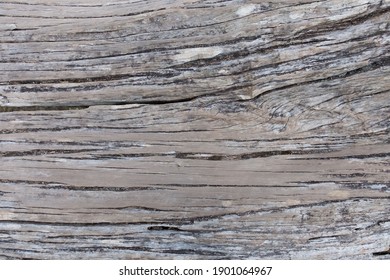 Close Up Warm Wood Grain Texture 