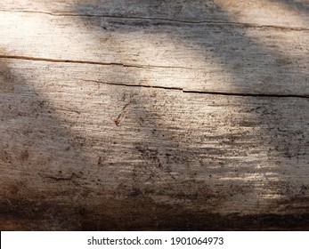 Close Up Warm Wood Grain Texture 