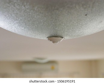 1000 Ceiling Water Drop Stock Images Photos Vectors Shutterstock