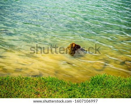 Close up of water ripples on a water body / lake with a solitary rock rising above the water surface and a grassy bank in the foreground. 