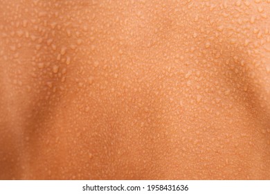 Close Up Of Water Or Sweat Drops On The Woman Back Skin. Human Wet Skin