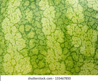 Close Up Of The Watermelon Skin