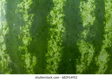 Close Up Of The Watermelon Skin