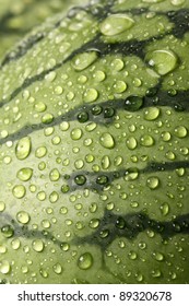 Close Up Of The Watermelon Skin