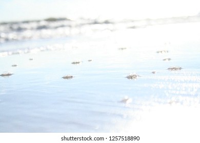 Close Up of Waves on a Beach