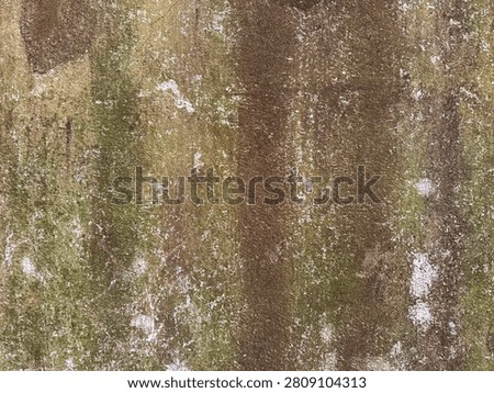 Close up of weathered wall filled with moss and molds in green and black color. Rustic corroded wall panel for old ancient building wall. Seamless background texture