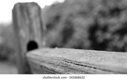 Close Up Of Weathered Wooden Fence At Sammamish Trail