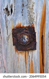 Close up of a weathered wooden pylon with rusted iron bolt seeping orange red