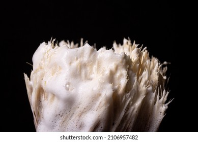 Close Up Of Wet Shaving Brush With Soap