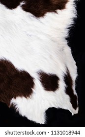 Close Up The White, Black And Brown Cow Hide.