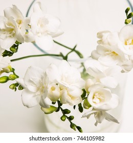 Close up of white bunch of orchid in vase on light backdrop. Floristics art, tenderness and purity in decoration, floral background, luxury gift for woman concept