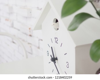 Close Up White Cuckoo Clock .