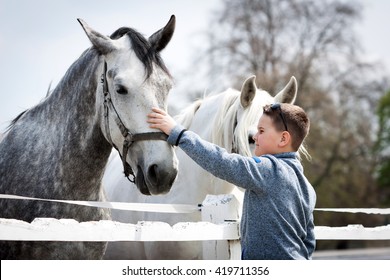 Close up of white horse with boy and soft touch - Powered by Shutterstock