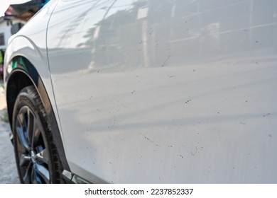 Close up of white new car with dirty sticky rubber asphalt stained from construction site on the road - Shutterstock ID 2237852337