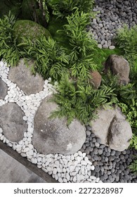 close up of white pebbles stone, gray pebbles stone, and river stone with natural decorative fern in a garden