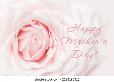 Close Up White Pink Rose Flower, Delicate Macro Petals Pastel Colors, Aesthetic Floral Background. Fresh Tenderness Bloom Rose, Text Happy Mothers Day. Soft Focus Nature Flowery Card For Women Day.