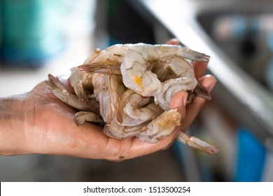 Close up white shrimp,fresh shrimp - Shutterstock ID 1513500254