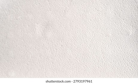 Close up of white styrofoam texture background or expanded polystyrene foam board.