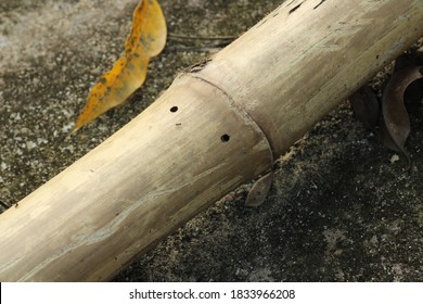 Close up whole the bamboo stick photo