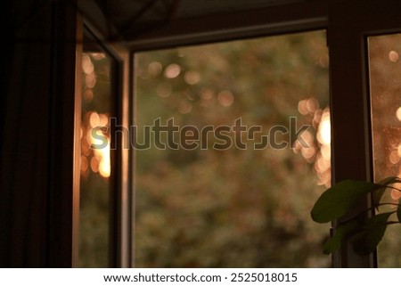 Close up window in kitchen in sunset light with plants on windowsill