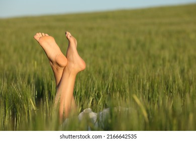 Close up of a woman feet relaxing in a wheat field - Shutterstock ID 2166642535