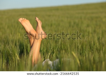 Close up of a woman feet relaxing in a wheat field
