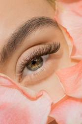 Close Up Of Woman Green Eye Eyelashes Extension In Flower Petals. Tenderness Beauty Procedure Fashion.