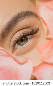 Close up of woman green eye eyelashes extension in flower petals. Tenderness beauty procedure fashion.