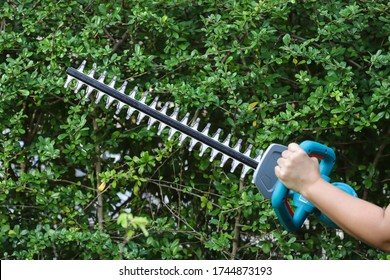 Close Up Of Woman Hand With Hedge Trimmer Cutting Bushes