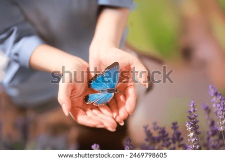close up woman hand hold butterfly in sunny day on nature park