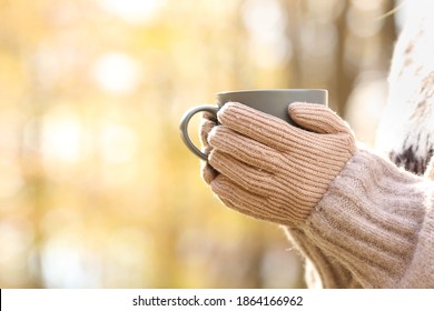 Close up of woman hands with gloves holding coffee mug in autumn in a park